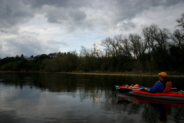 Striped Bass on the American River