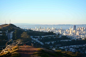 Mount Davidson