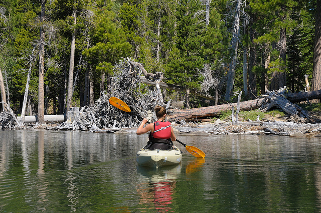 Upper Truckee River Tour
