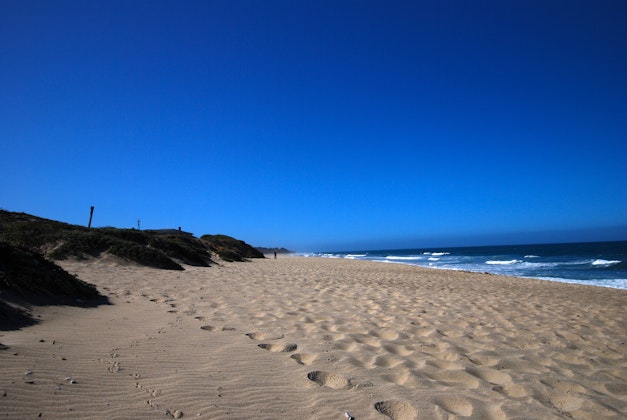 Camp at Francis Beach Campground, San Francisco