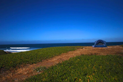 Camp at Francis Beach Campground, Half Moon Bay SB