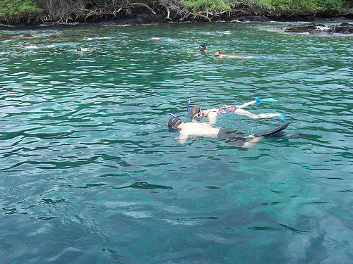 Maui: Snorkeling, The World Beneath the Waves