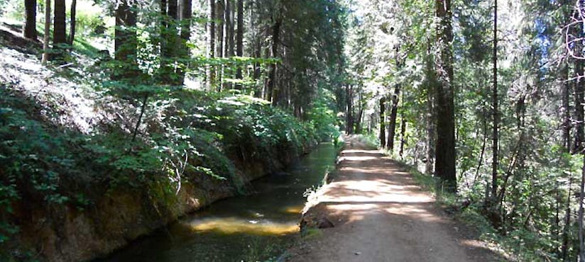 The Best Trails And Outdoor Activities In Nevada City California The Outbound Collective