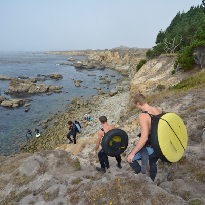 Abalone Diving at Salt Point State Park