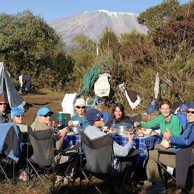 Kilimanjaro Climb & Safari Expedition 