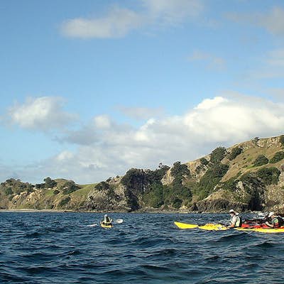 Kayaking/ Snorkeling in the Bay of Islands, New Zealand