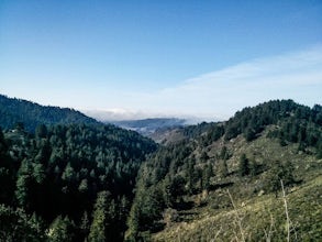 Purdy Pharis Run