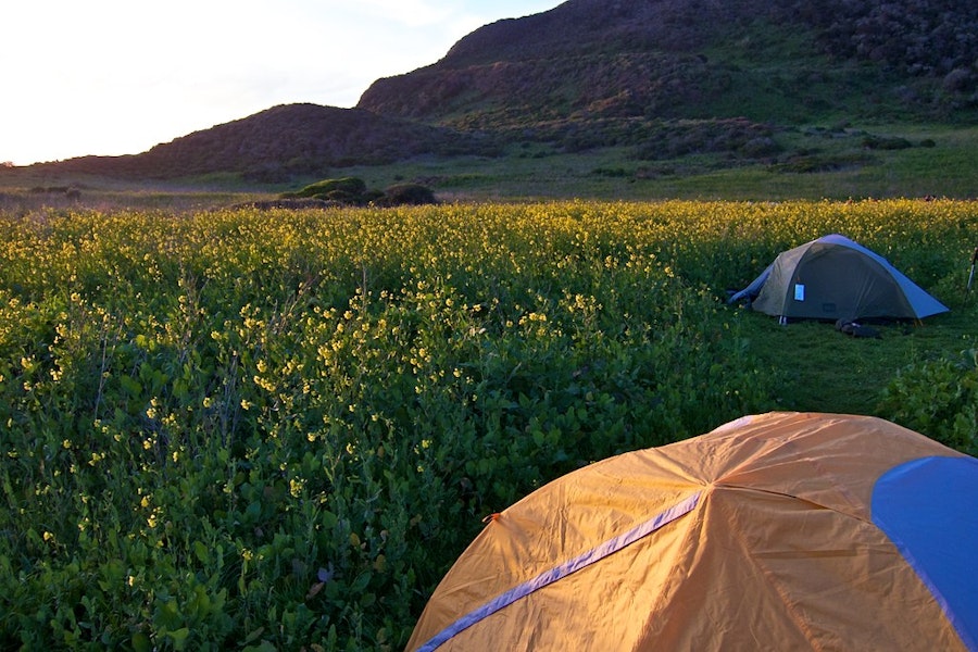 21 Beautiful Beach Campsites