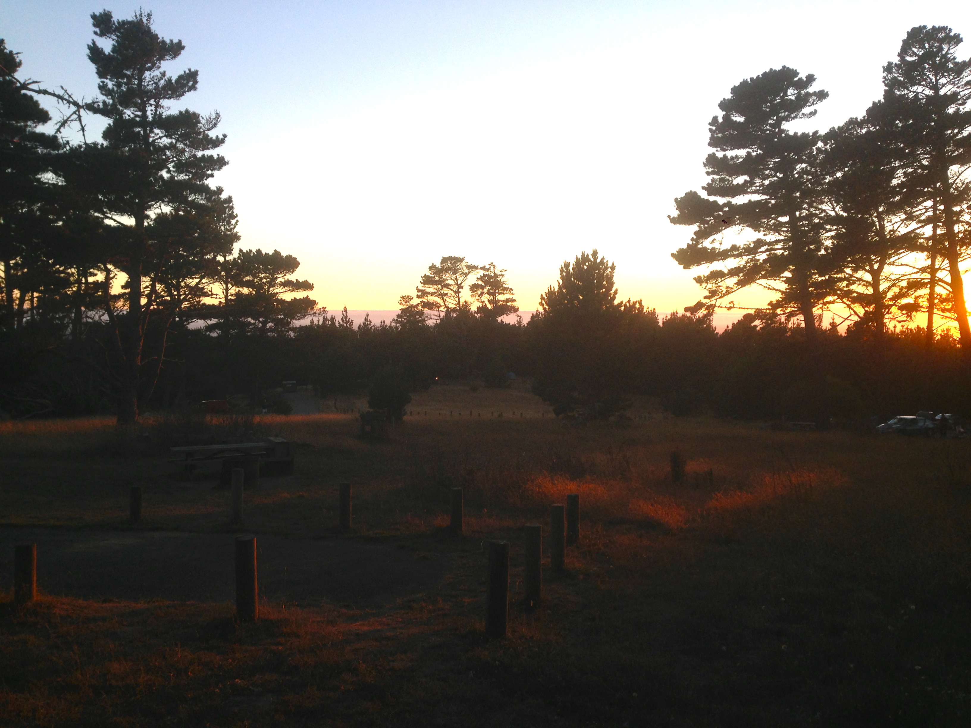 Camp at Salt Point State Park