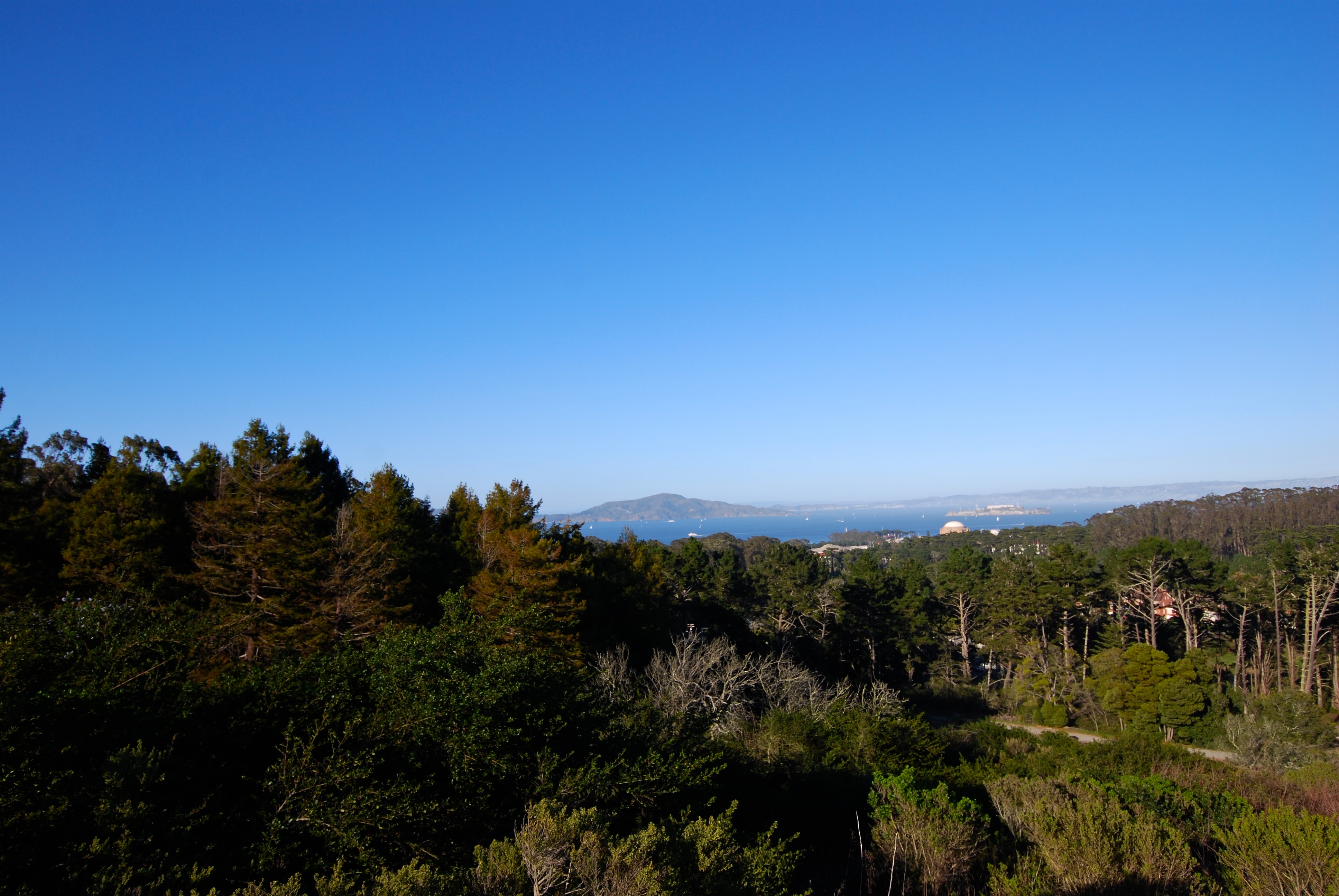 Lover's Lane, Ecology, Mountain Lake Trail Loop 