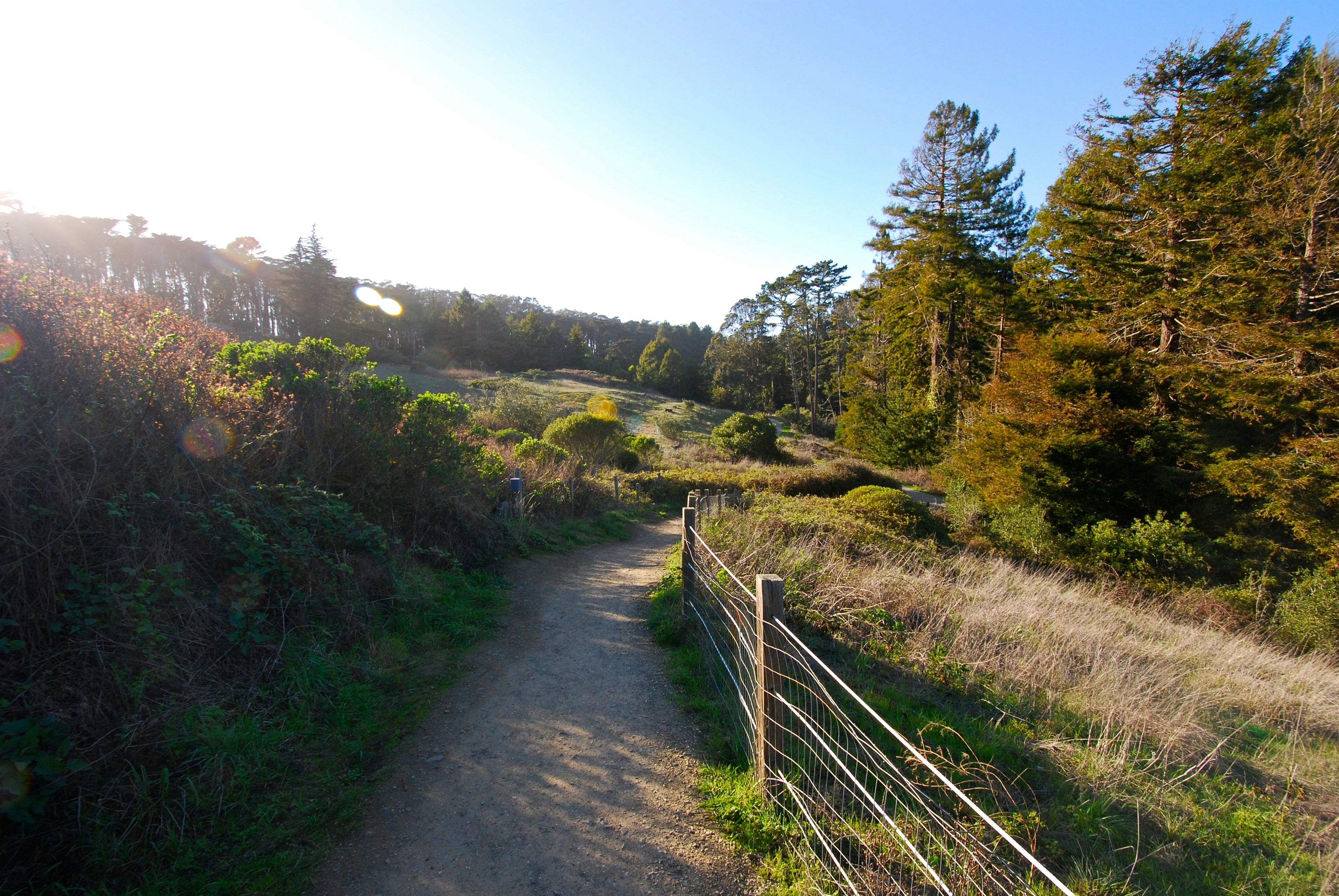 Explore the Presidio's Hidden Treasures, San Francisco