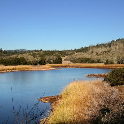 Hiking, Swimming, and Fishing in Wine Country