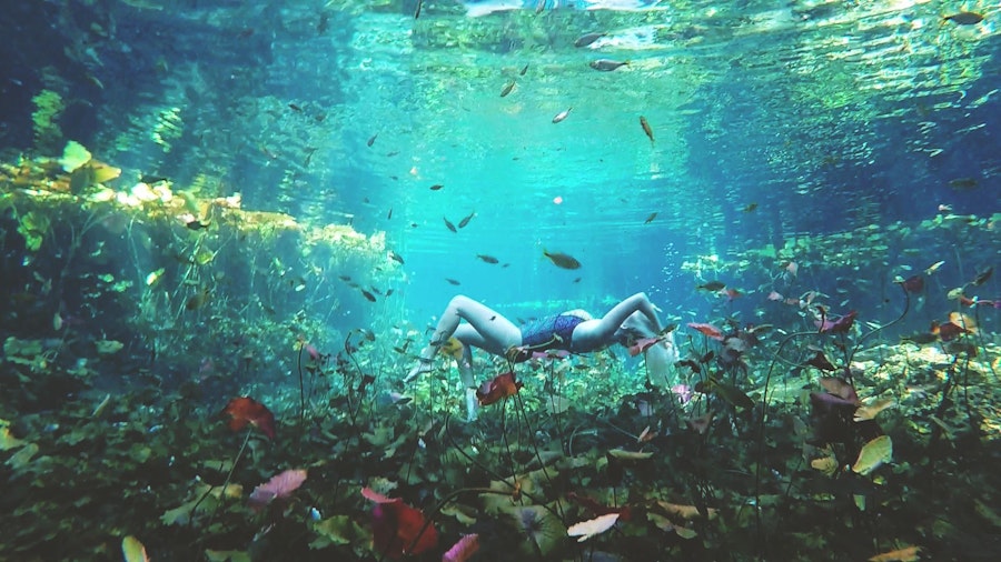 Дно москвы реки подводные фото Дно москвы реки подводные фото