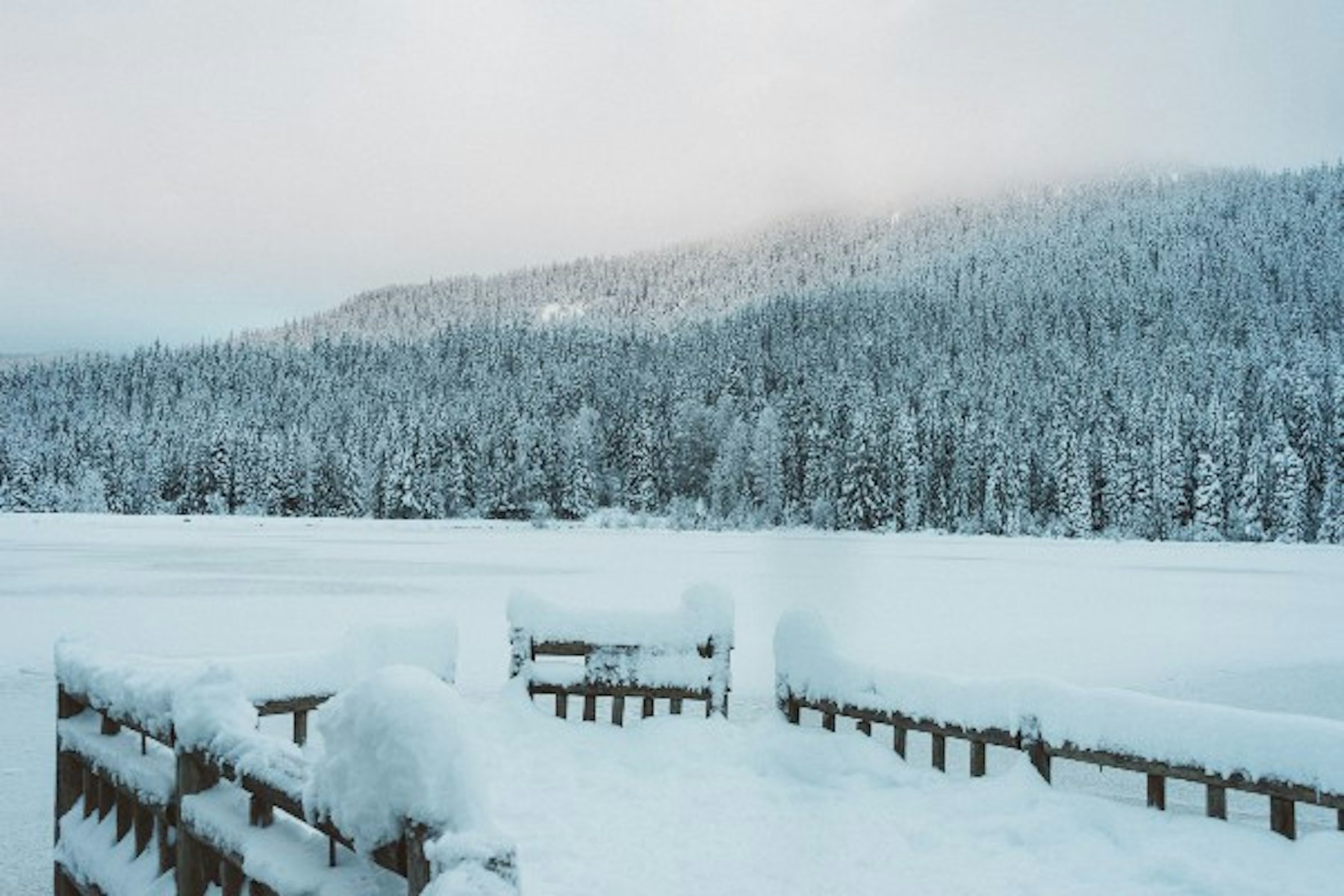 Why You Should Snowshoe to Trillium Lake on a Weekday