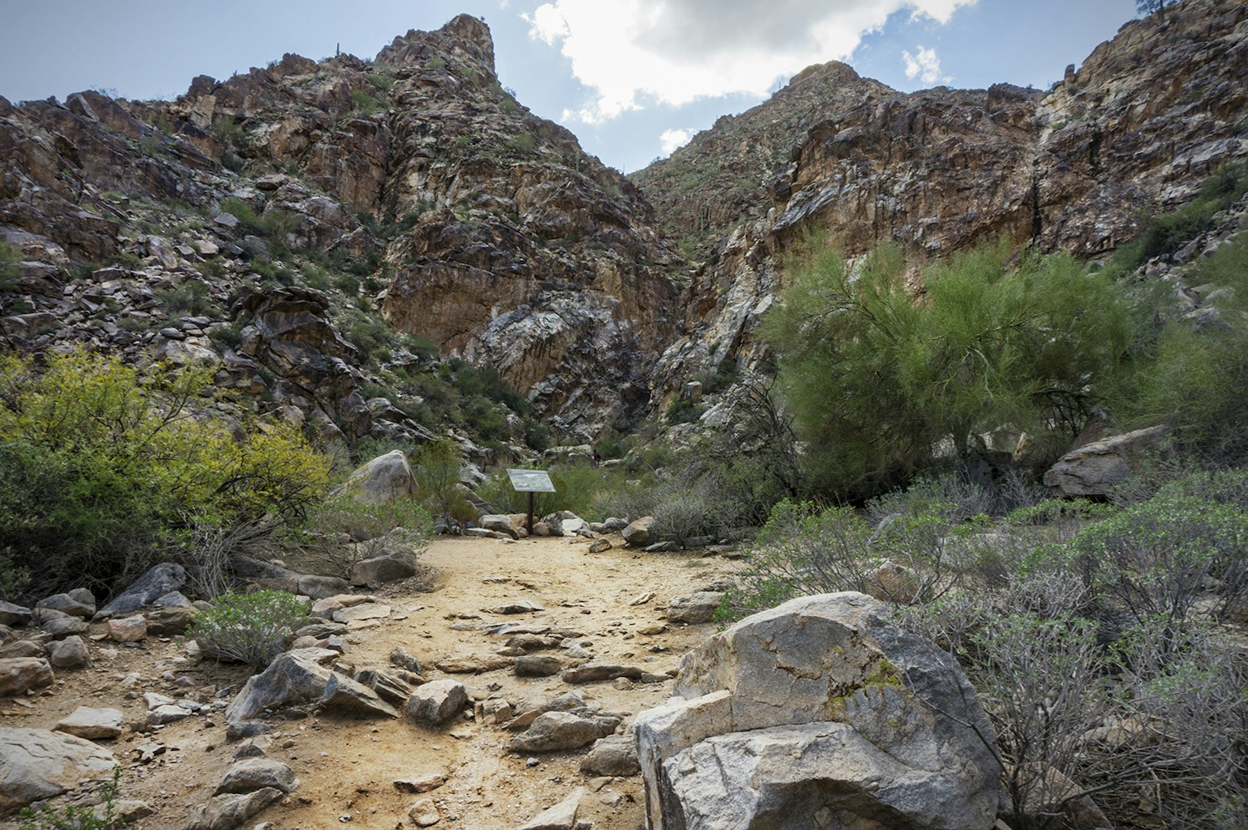 Waterfall Canyon
