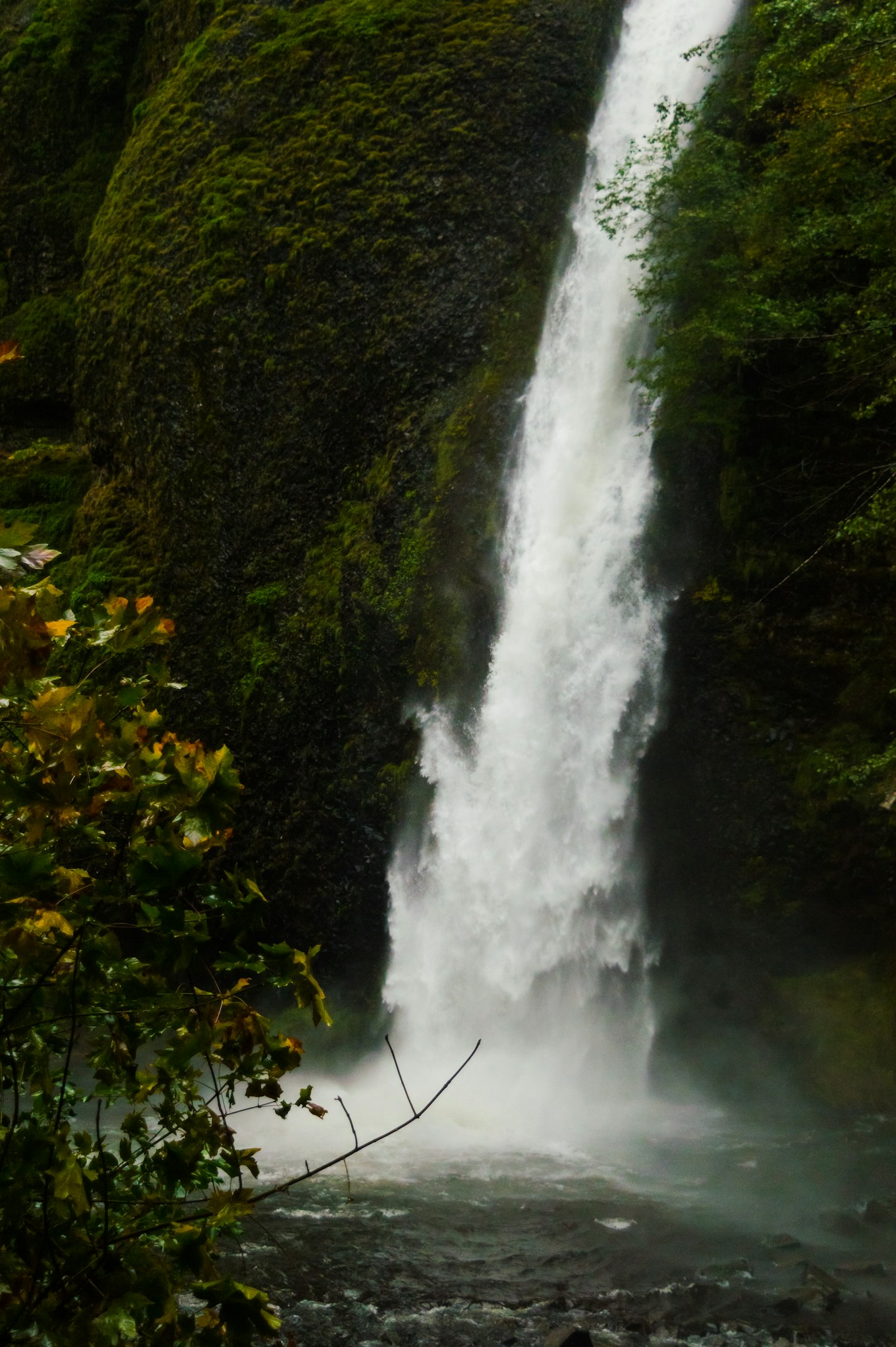 Columbia Gorge Hike - Triple Falls