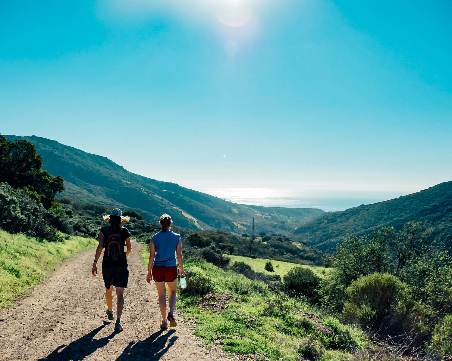 Laguna Beach's Top 5 Trails For Hiking, Biking, And Running