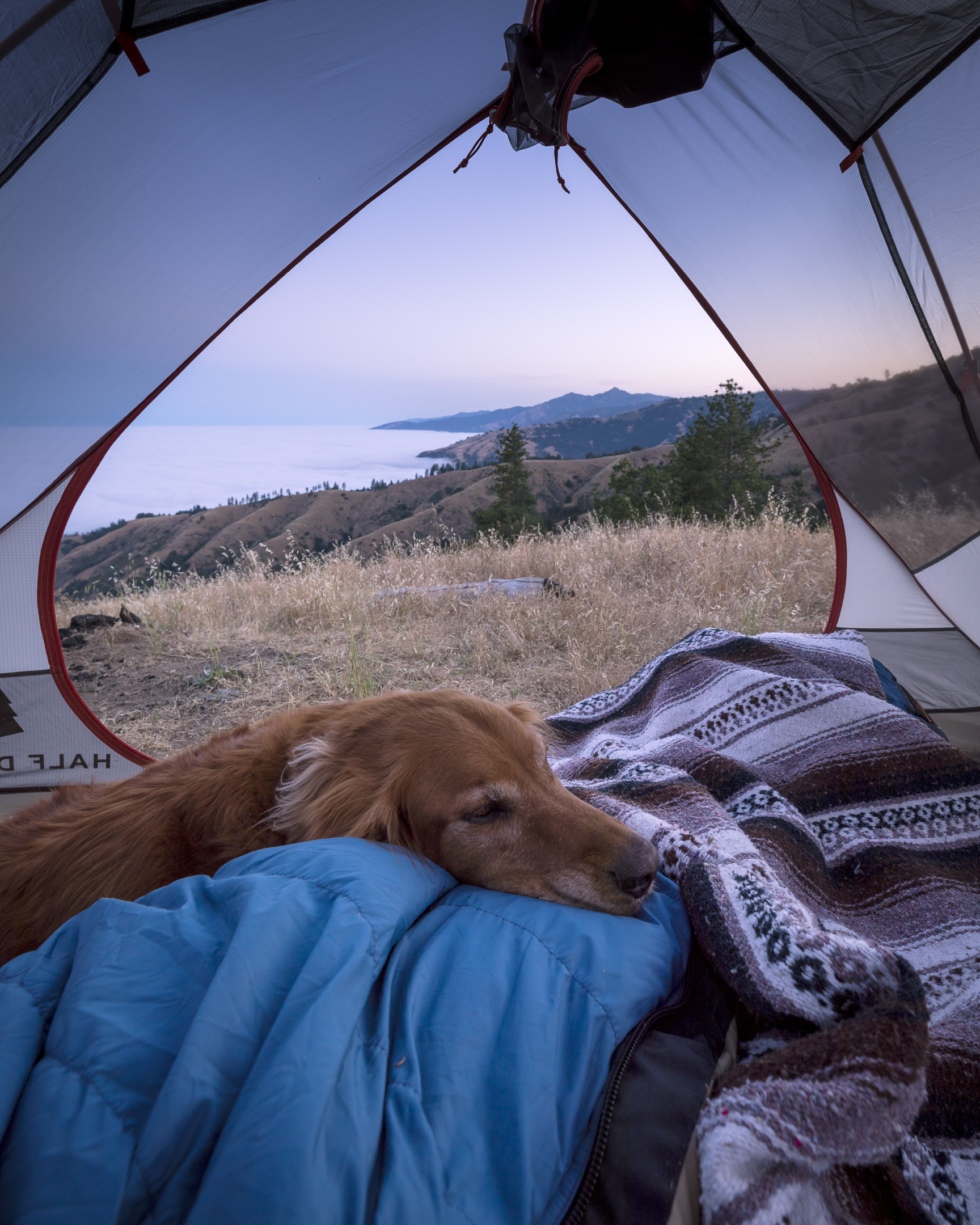 Life Above The Clouds Isn T So Bad Camping In Big Sur