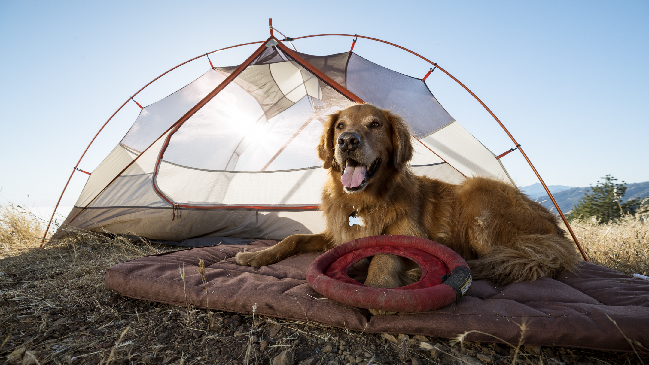 Life Above The Clouds Isn T So Bad Camping In Big Sur