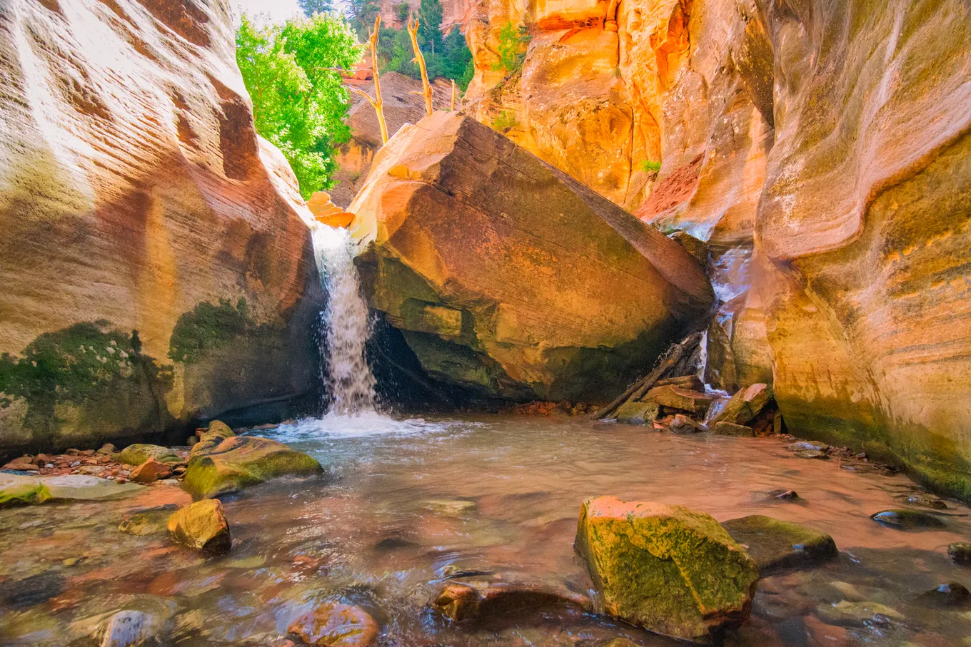 Chasing Waterfalls in Kanarraville, Utah