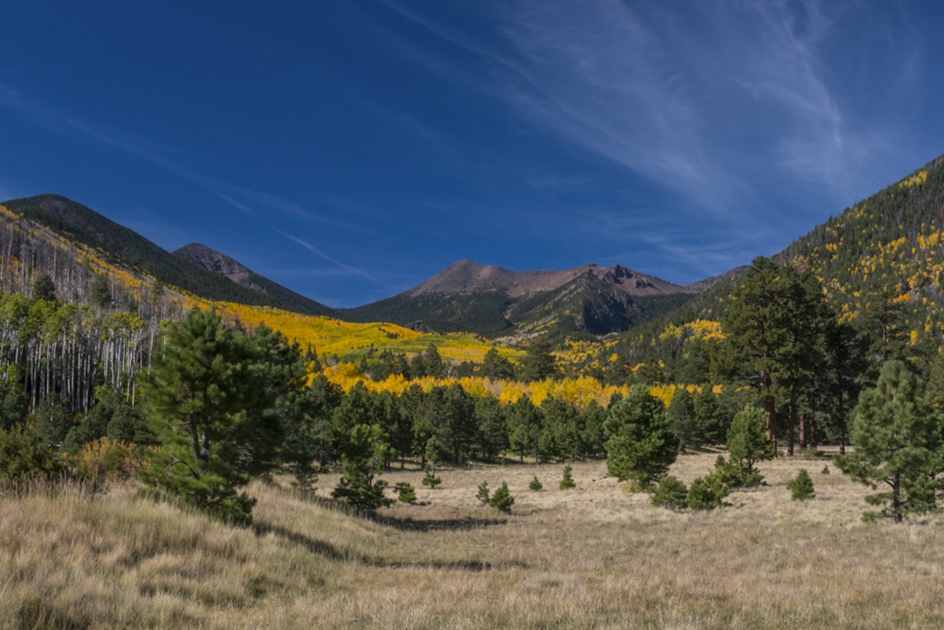 The Autumn Leaf Peeper's Guide to Arizona