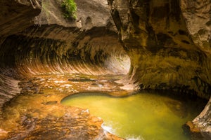 7 Photos from My Hike in The Subway, Zion National Park