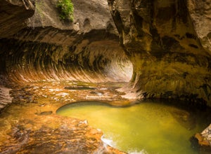 7 Photos from My Hike in The Subway, Zion National Park