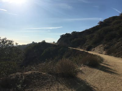 Mount Hollywood via the Fern Canyon Trail