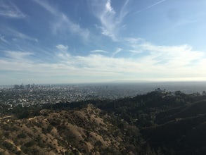 Summit Mount Hollywood via the Fern Canyon Trail