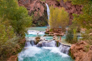 The Ultimate Guide to Planning Your Havasupai Adventure
