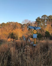 Take a Stroll through Blue Heron Nature Preserve