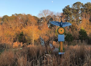 Take a Stroll through Blue Heron Nature Preserve