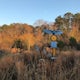 Take a Stroll through Blue Heron Nature Preserve