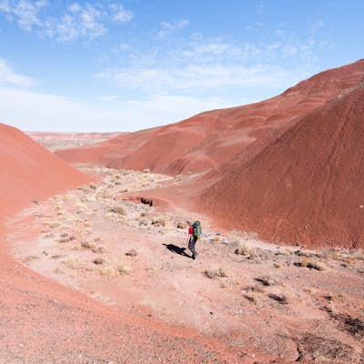 Backpack the Painted Desert in Petrified Forest National Park