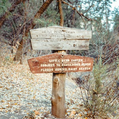Hike to Jordan Hot Springs via Little Bear Canyon Trail