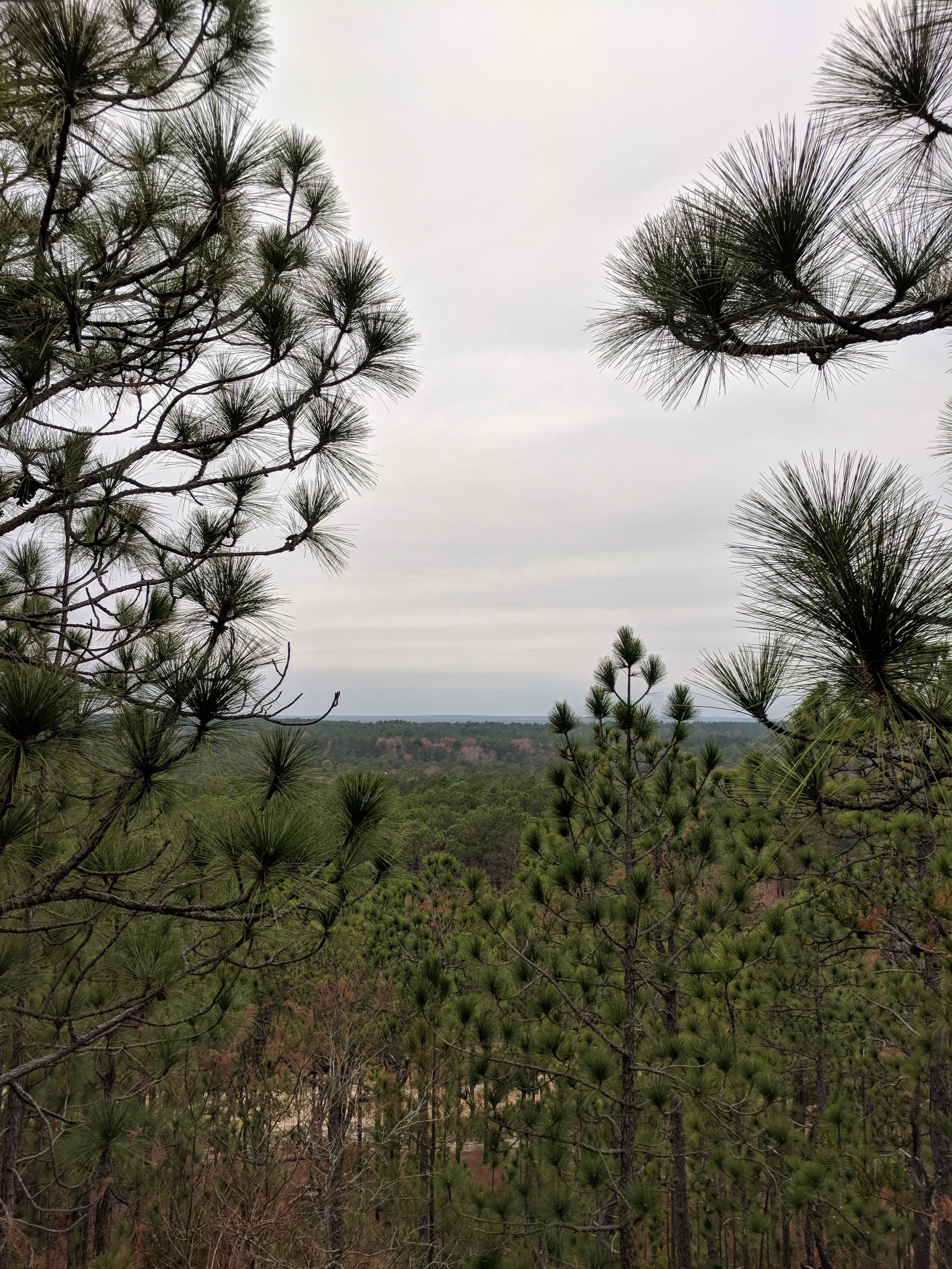 Sugarloaf Mountain