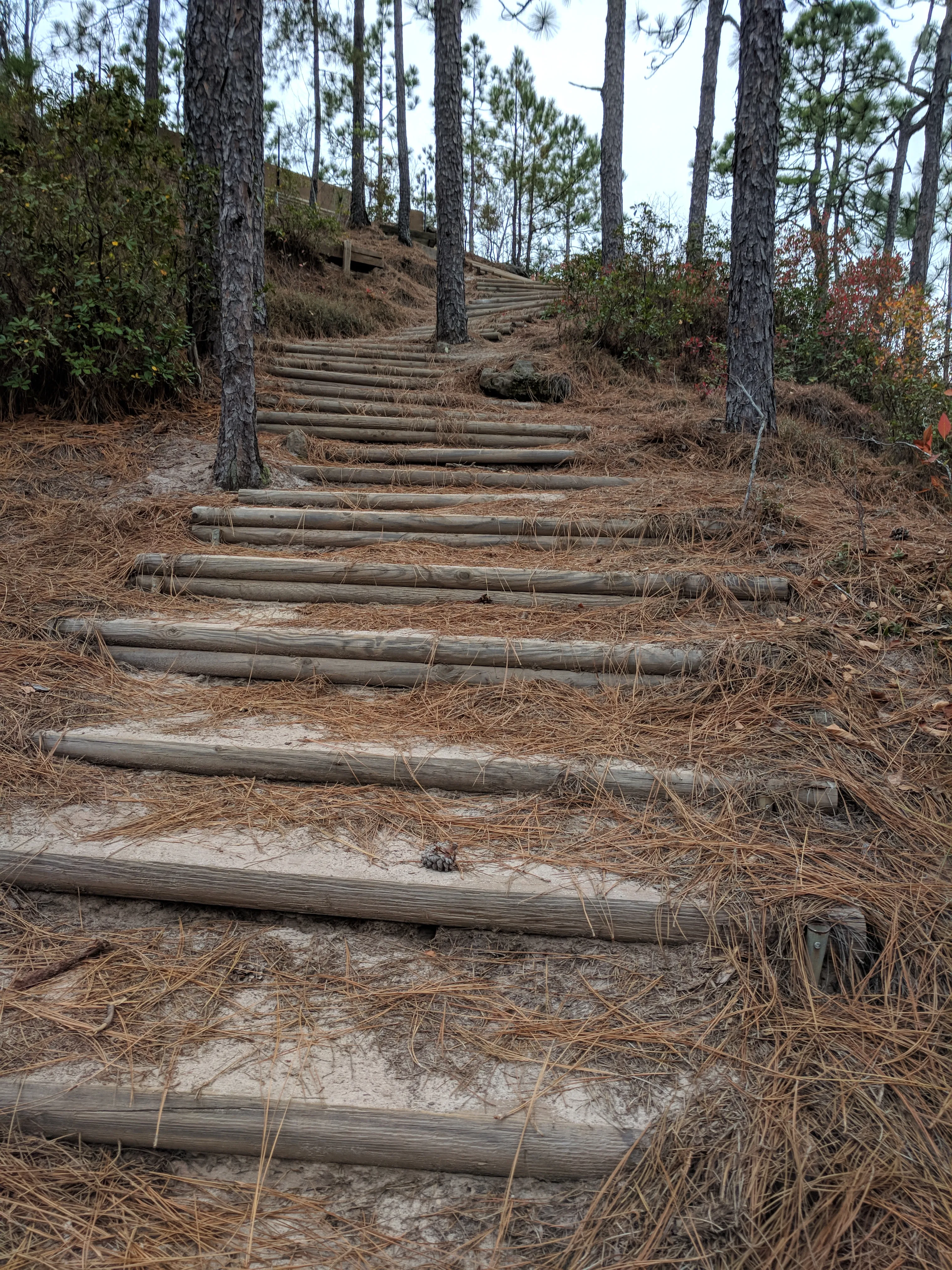 Sugarloaf Mountain