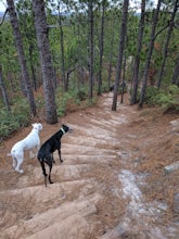 Sugarloaf Mountain