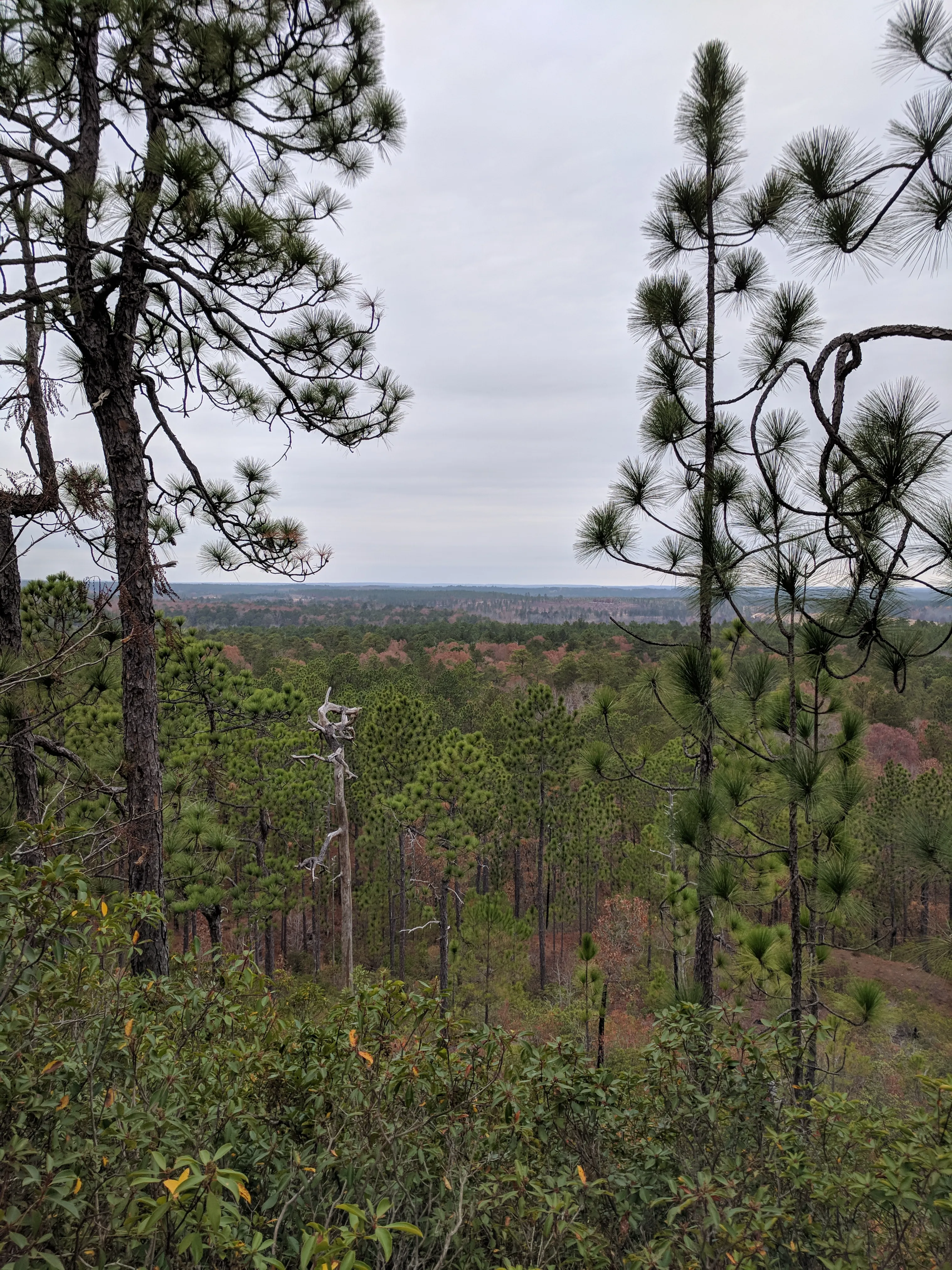 Sugarloaf Mountain