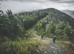 Life on the Long Trail: An Expedition through Vermont's Green Mountains 