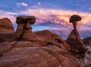 Trump Dramatically Reduces Bears Ears and Grand Staircase-Escalante National Monuments