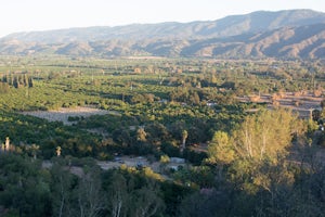 Camp at Dennison Park in Ojai Valley 