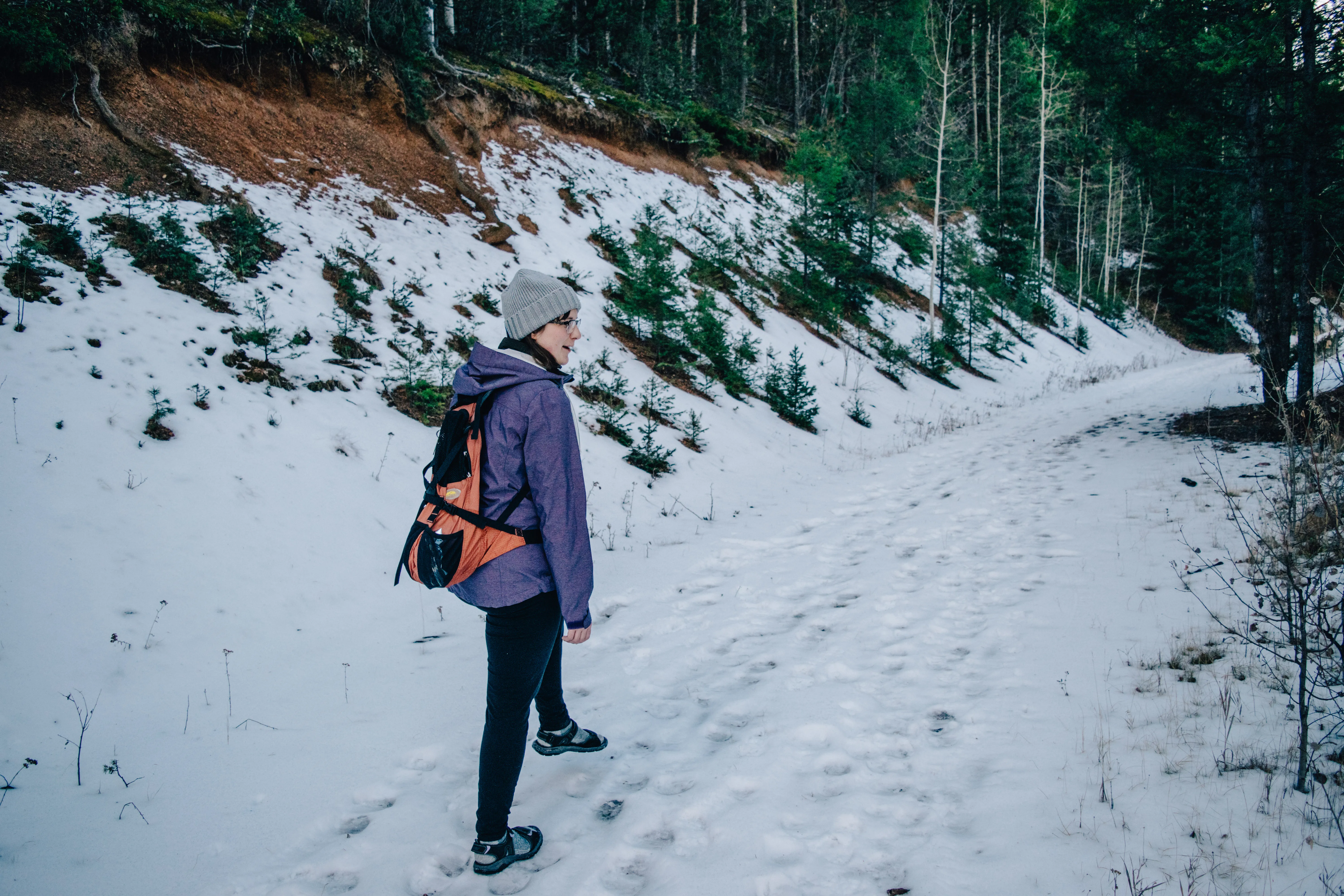 Hike to Brook Pond