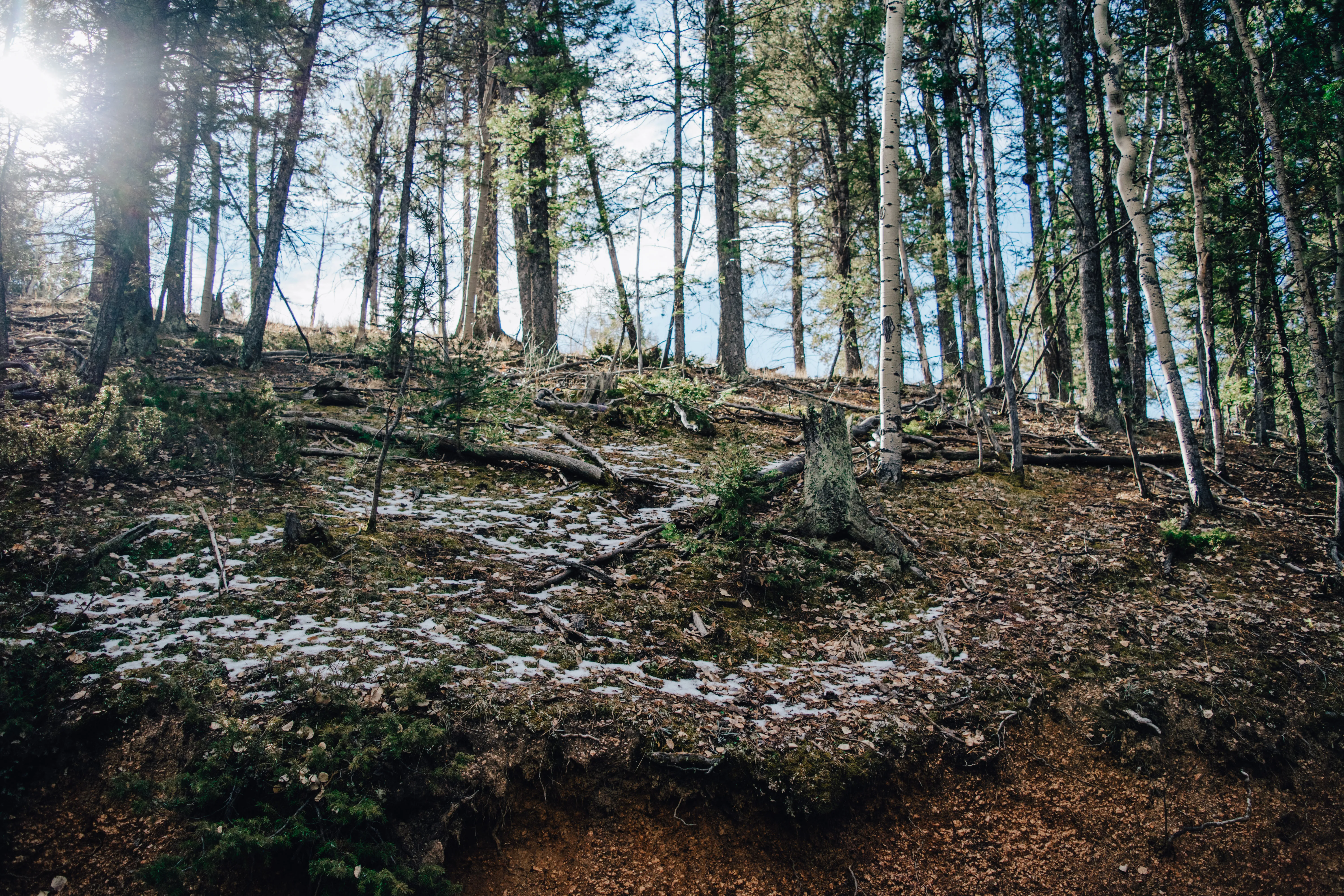 Hike to Brook Pond