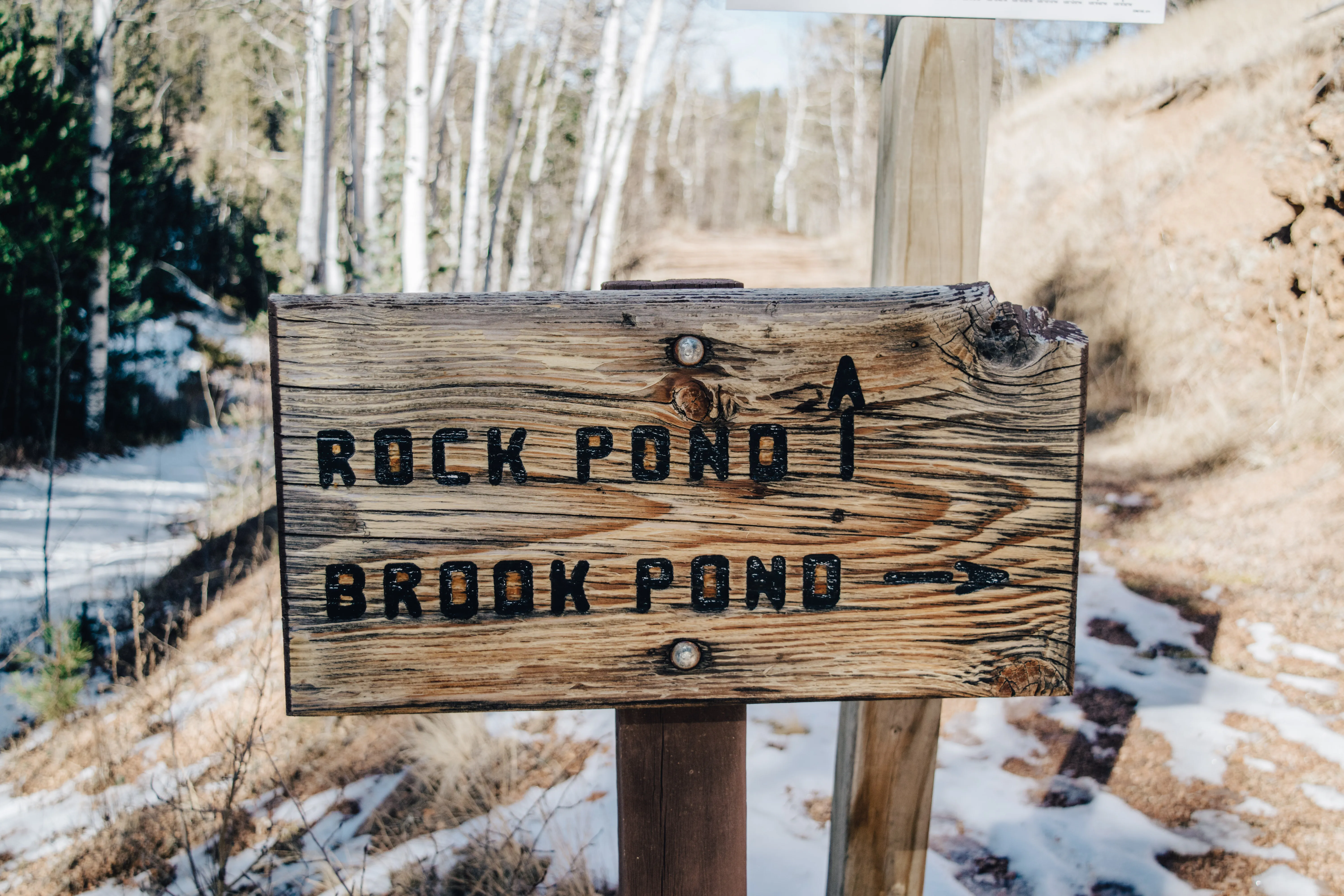 Hike to Rock Pond