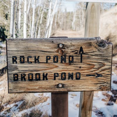 Hike to Rock Pond