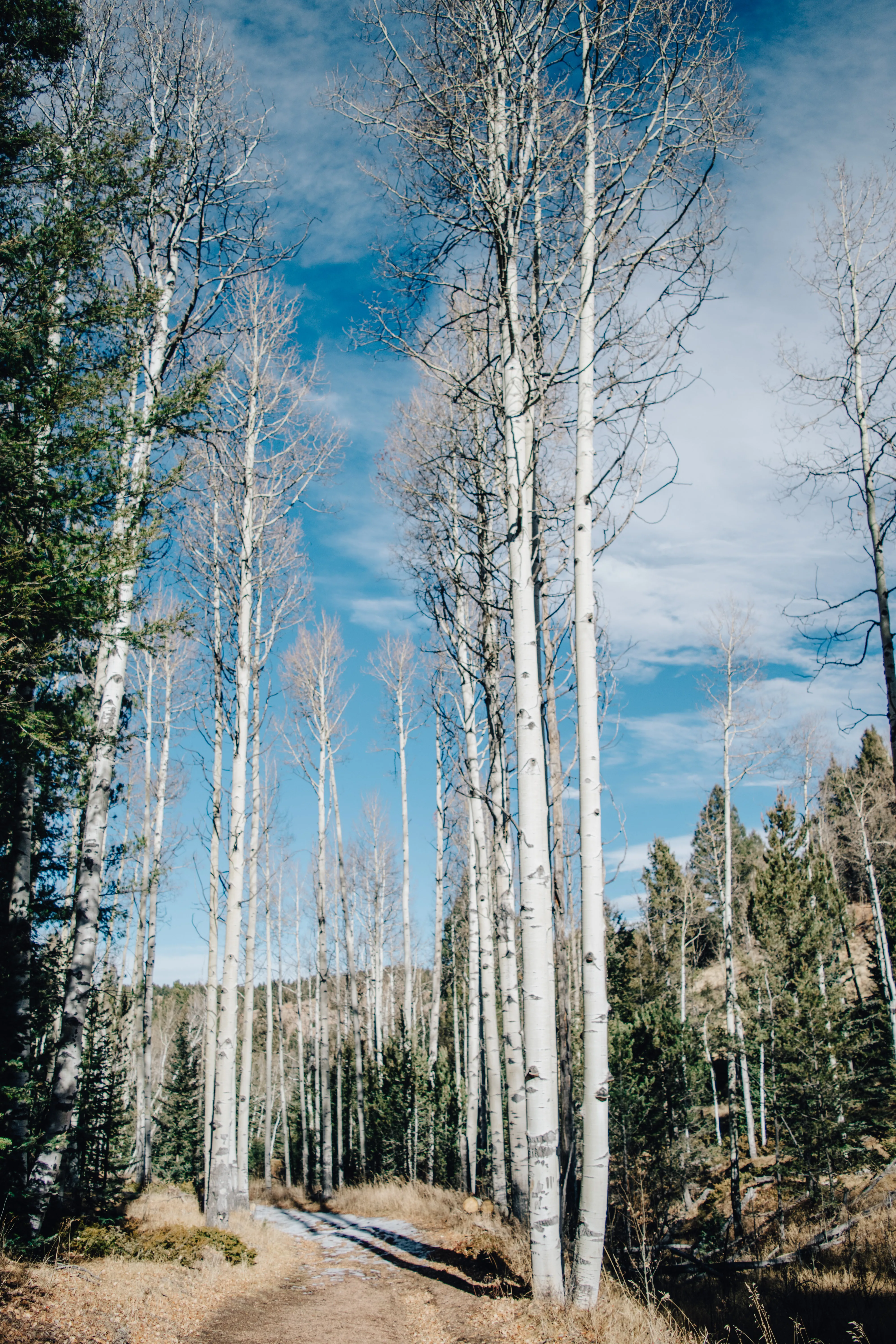 Hike to Brook Pond