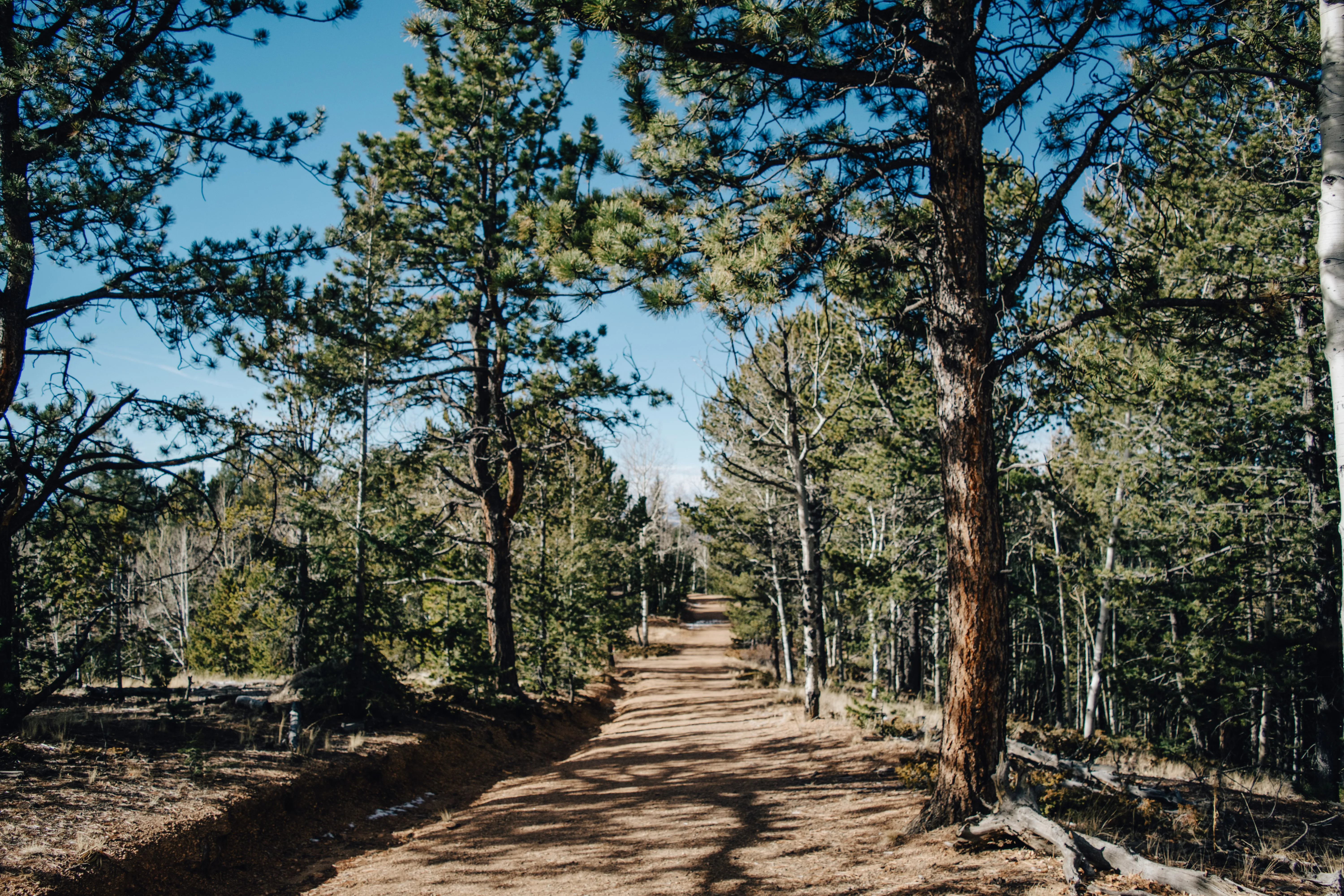 Hike to Rock Pond