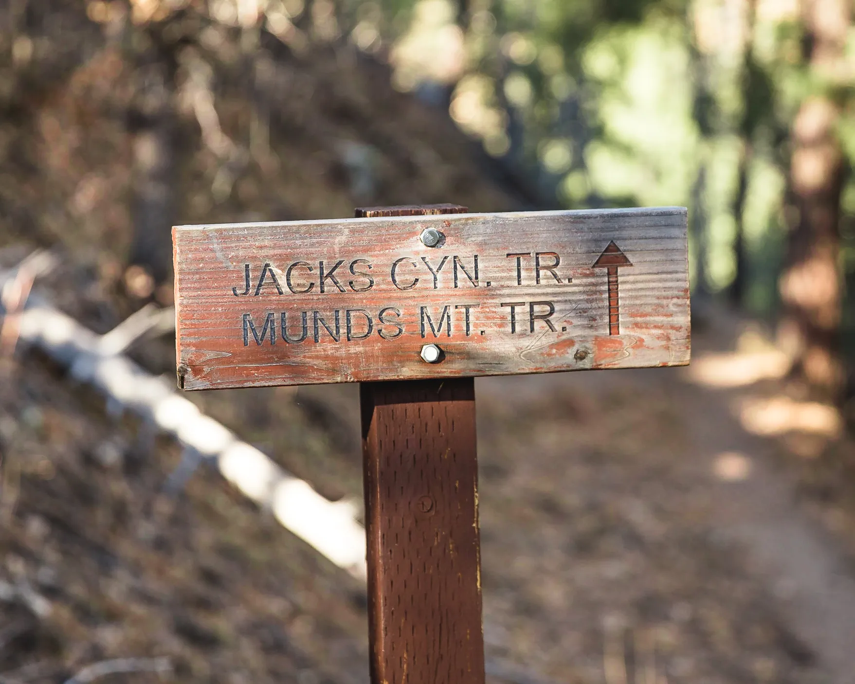Munds Mountain