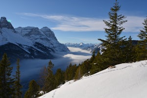 Ski Tour/Snowshoe Mt. Paget 